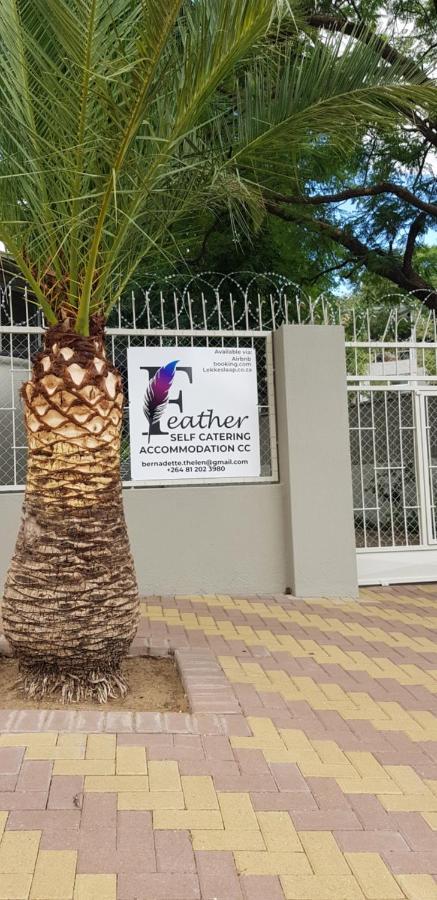 Feather Self Catering Accommodation 温特和克 外观 照片